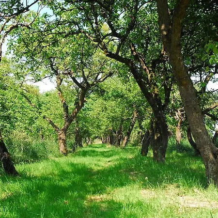 Himmel&erden Nordleda